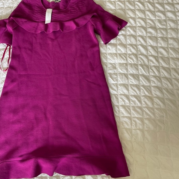 Ann Taylor Fucsia Knit Ruffled Midi Dress - Picture 5 of 10